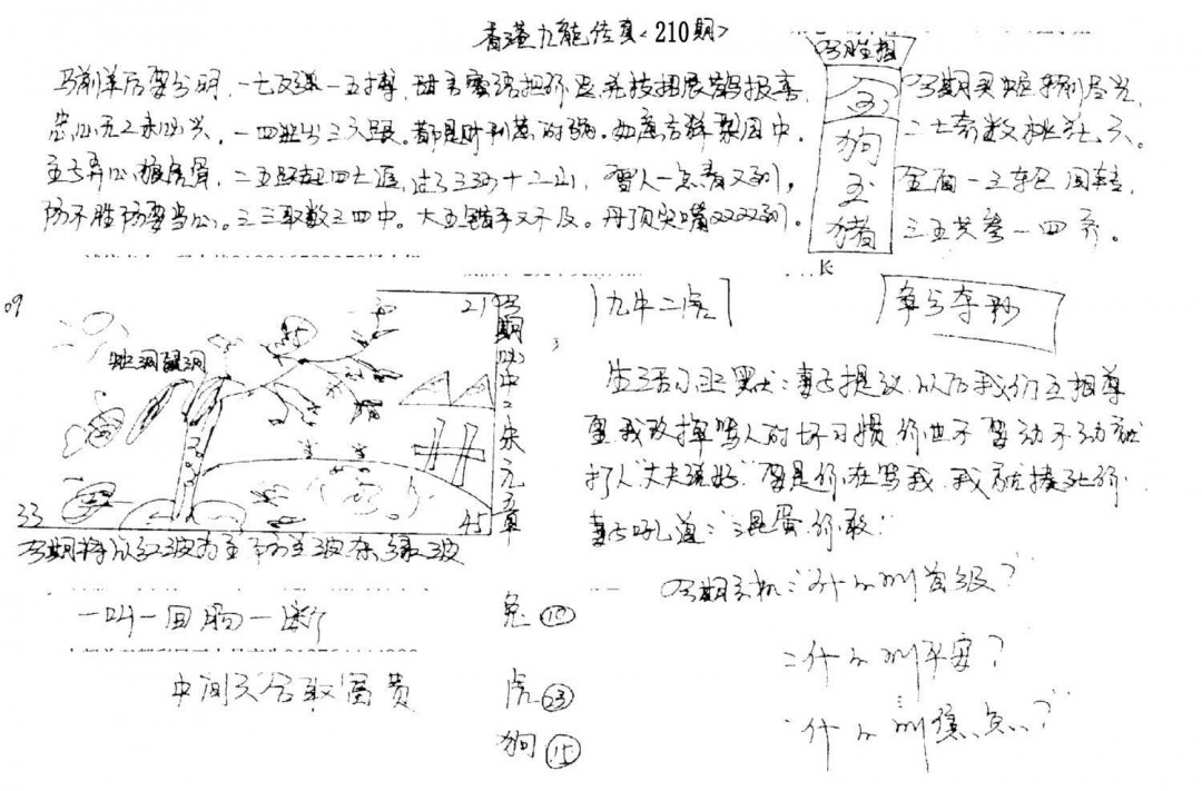 图片加载中