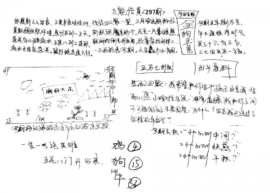 图片加载中