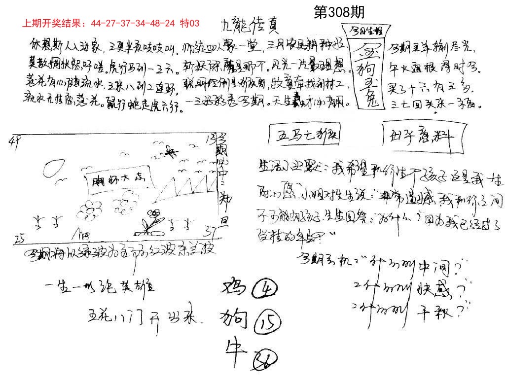 图片加载中