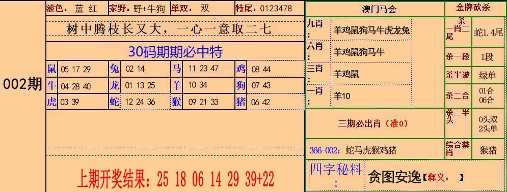 20252期：30码中特图