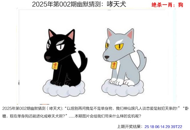 20252期：澳幽默猜测