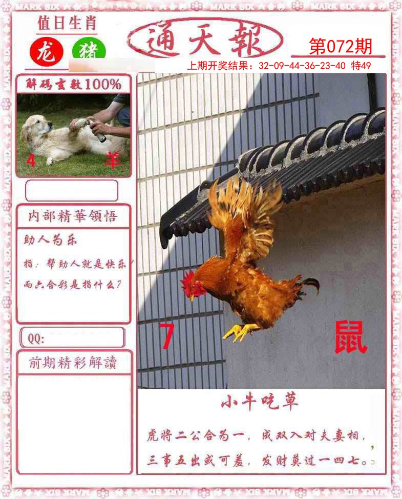 202572期：正版通天报